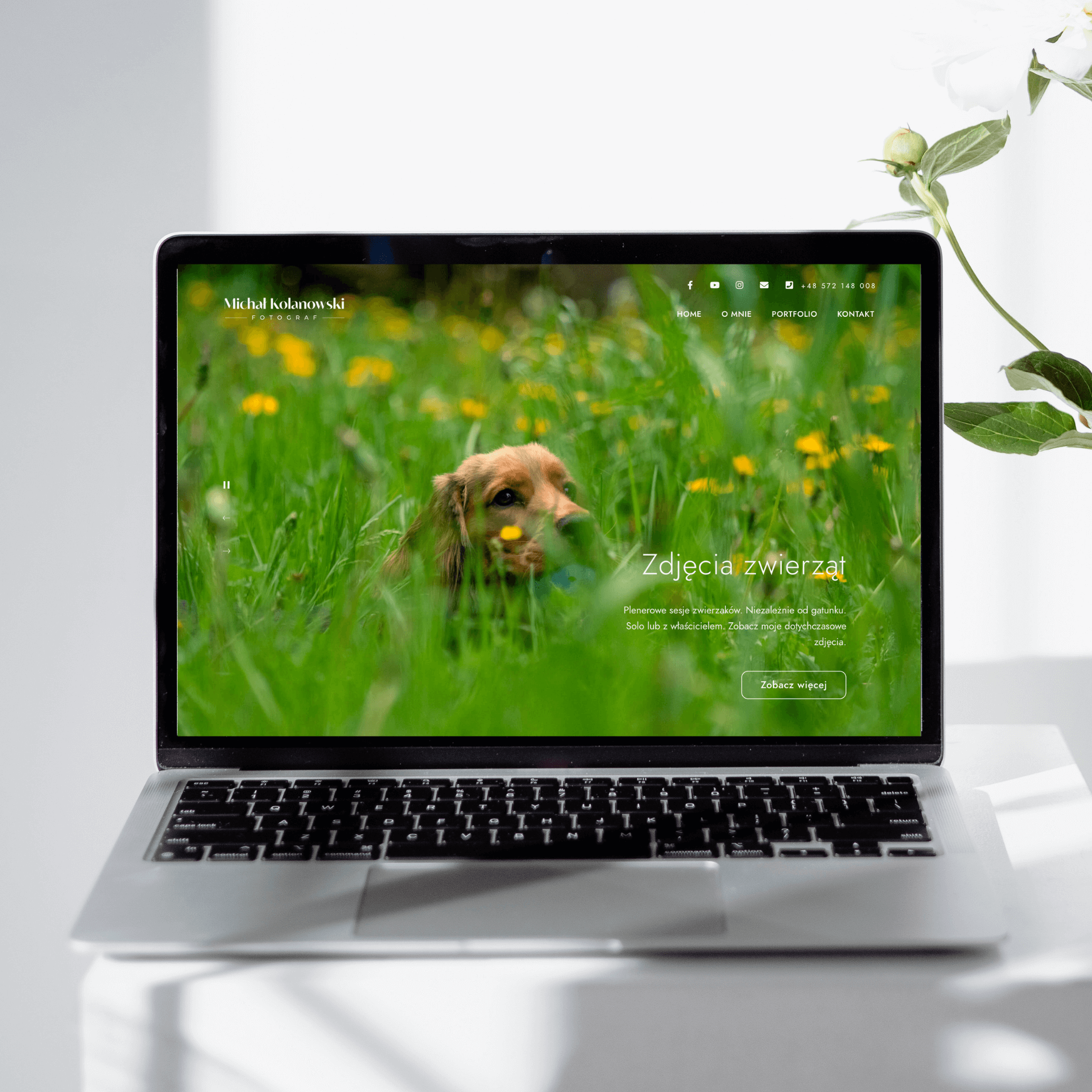 Estetyczna strona dla fotografa